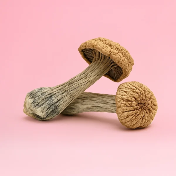 Penis Envy - Image 2
