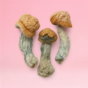 Penis Envy - 3.5 Grams