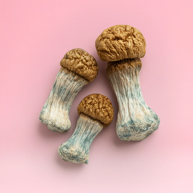 Bluey Vuitton Smurf - Image 2