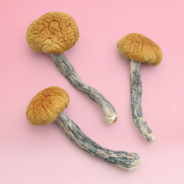 Blue Meanies - Image 2