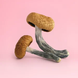 Blue Meanies - 7 Grams