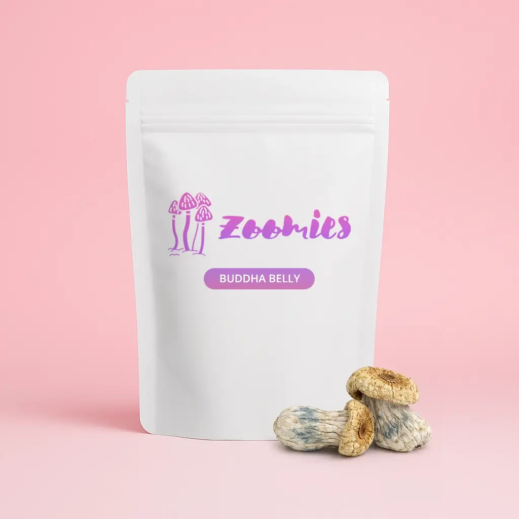 Buddha Belly - Image 3